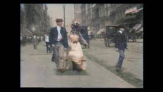What Happened on Twenty‑Third Street, New York City (1901