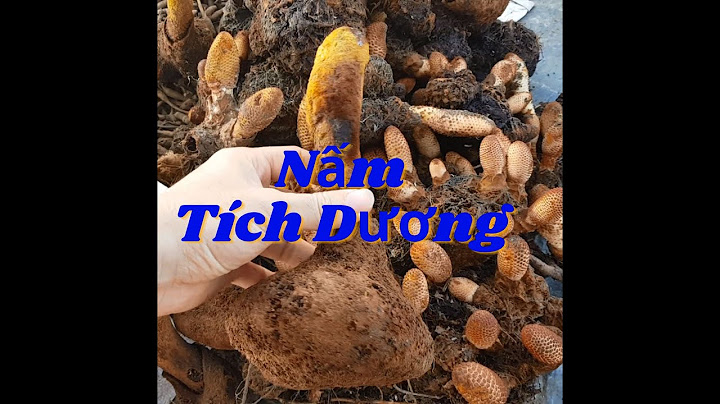 So sánh nấm tích dương và ngọc cẩu