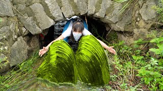 The Flood Broke Out And Washed Out The Giant Clams, Which Were Filled With Pearls