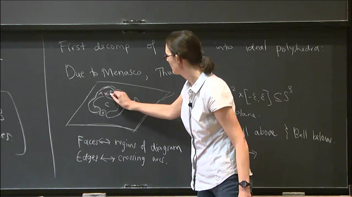 Geometric Techniques in Knot Theory - Jessica S. P...