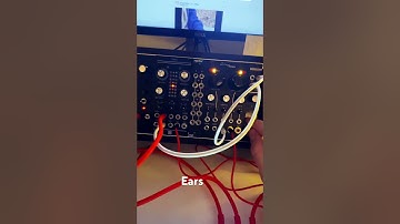 Modular synth. Mutable Instruments Ears, Rings, and Plaits