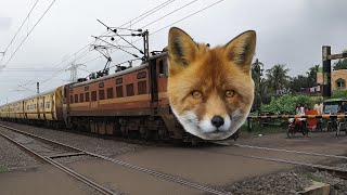 Dangerous Cartoon Fox Face Intercity Express Aggressively Throughout Railgate...
