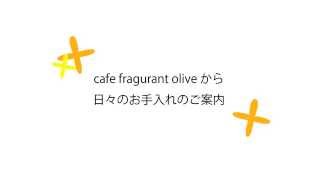 毎回のお手入れで汚れは大幅に防げる！ジュエリーの日々のお手入れ方法【cafe fragrant olive】【カフェオリ】