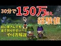 【ドラクエ10】新マップでレベル上げが熱い！初心者さんでもサクサク狩れるのはコイツだ！！