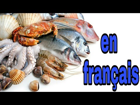 Vidéo: Poisson de mer. Poissons de mer : noms. Poissons de mer comestibles