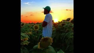 Sometimes... - Tyler the Creator | sped up/reverb