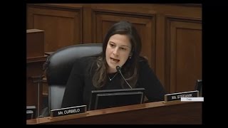 Rep. Stefanik Questions Witnesses at Federal Student Aid Hearing