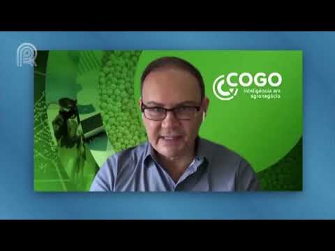 Preço da soja não paga custos e prêmios negativos causam prejuízo de R$ 18 bi | Canal Rural