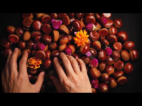 ASMR for People who Literally Need SLEEP & TINGLES 팅글과 수면을 동시에 경험할 수 있는 ASMR