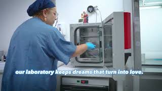 Invitro Insemination Process