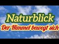 Feuer im Herz 🎶 | Naturblick