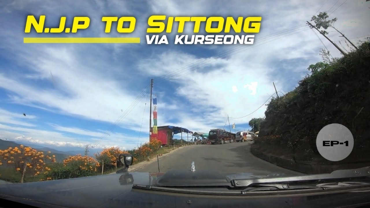 Njp railway station to sittong via Kurseong by car || Siliguri to sittong by car | Sittong homestay