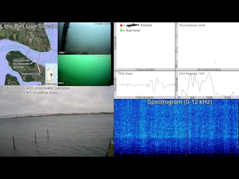 SEICHE WATER TECHNOLOGY GROUP LTD Live Stream