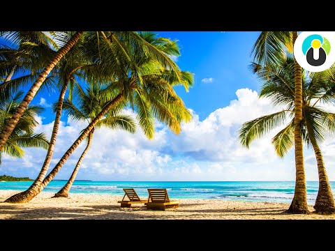 Video: Urlaub In Der Karibik