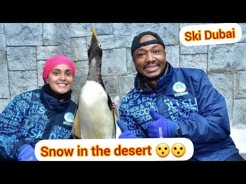 Ski Dubai (Snow in the desert 😲😲)Must see it 👌👌👌