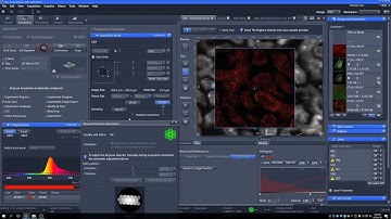 Zeiss 980: Airyscanning