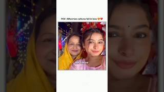 Pov Punjabi X Bihari