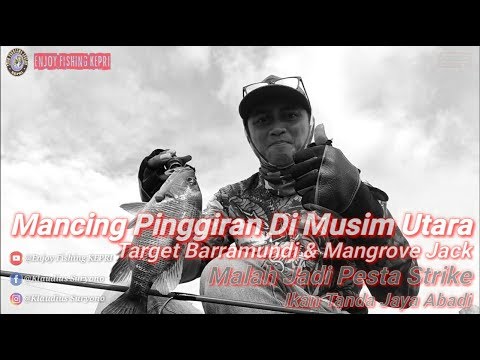 mancing-pinggiran-di-musim-utara-target-barramundi-&-mangrove-jack-spot-kawal-bintan-island-kepri