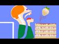 【Algodoo】White Strawberry Seed Cake｜白イチゴの種を全部取る