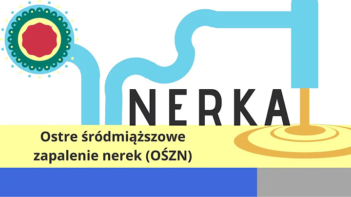 Nerka: Ostre Śródmiąższowe Zapalenie Nerek