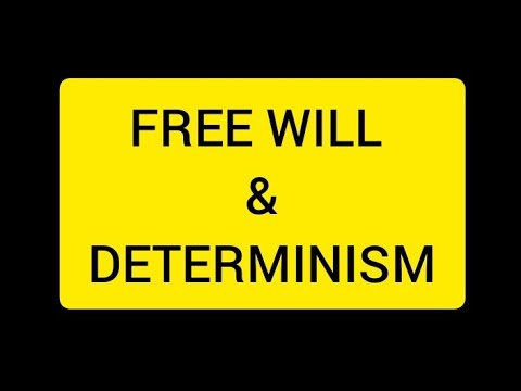 Free Will and Determinism - YouTube