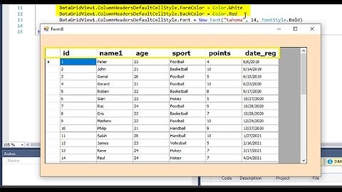VB.net tutorial Datagridview column header don