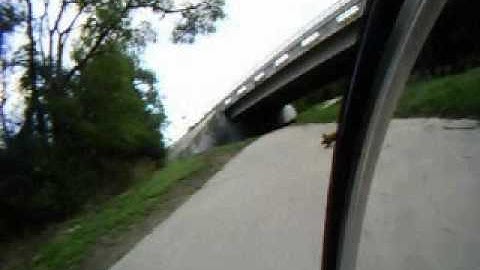 bicyclist almost hits rabbit