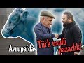 Avrupa'da Türk usulü pazarlık / Belçika Mavisi Nedir?