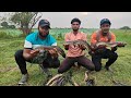 தரமான விரால் மீன் வேட்டை #video