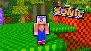 I Made Sonic in Minecraft!