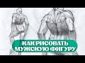 РИСУЕМ мужскую ФИГУРУ (со спины). Как рисовать фигуру в динамике / Skills Up School