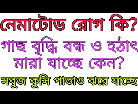 ভিডিও: নেমাটোড কি মানুষের ক্ষতি করতে পারে?