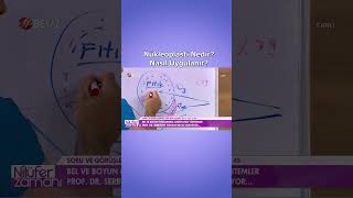 Nükleoplasti Nedir? Izbelfıtığıtedavisi Itığıtedavisi Ükleoplasti