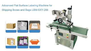 Advanced Flat Surface Labeling Machine For Shipping Boxes And Bags Lbm Sxy 206