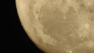 The amazing Nikon P900 super zoom