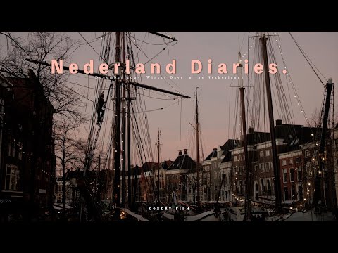 vlog. 곧 네덜란드 브이로그가 종료됨을 알려드립니다🗣️ 크리스마스 마켓, 해리포터 완독, 다사다난했던 2023년을 돌아보며, 올해의 마지막 일상 브이로그