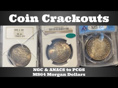 Coin Crackouts - NGC u0026 ANACS to PCGS - MS64 Morgan Dollars - Do These Coins Make the Upgrade?