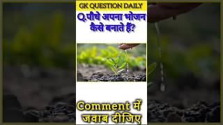 पौधे अपना भोजन कैसे बनाते हैं? ssc gk quiz gk question quiz in hindil #gkquestion #brgkstudy