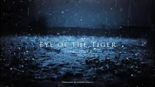 Eye of the Tiger (Epic Cinematic Cover) feat. FJØRA - Tommee Profitt