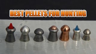 Best Airgun Pellets for Hunting  Madman Review