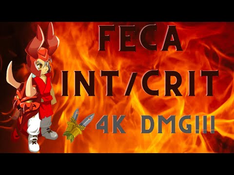 [DOFUS] Feca Int/Feu + Crit ! 2.58 !