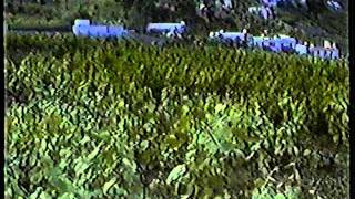 TEGUESTE USOS Y COSTUMBRES DE MI PUEBLO 3ª PARTE.