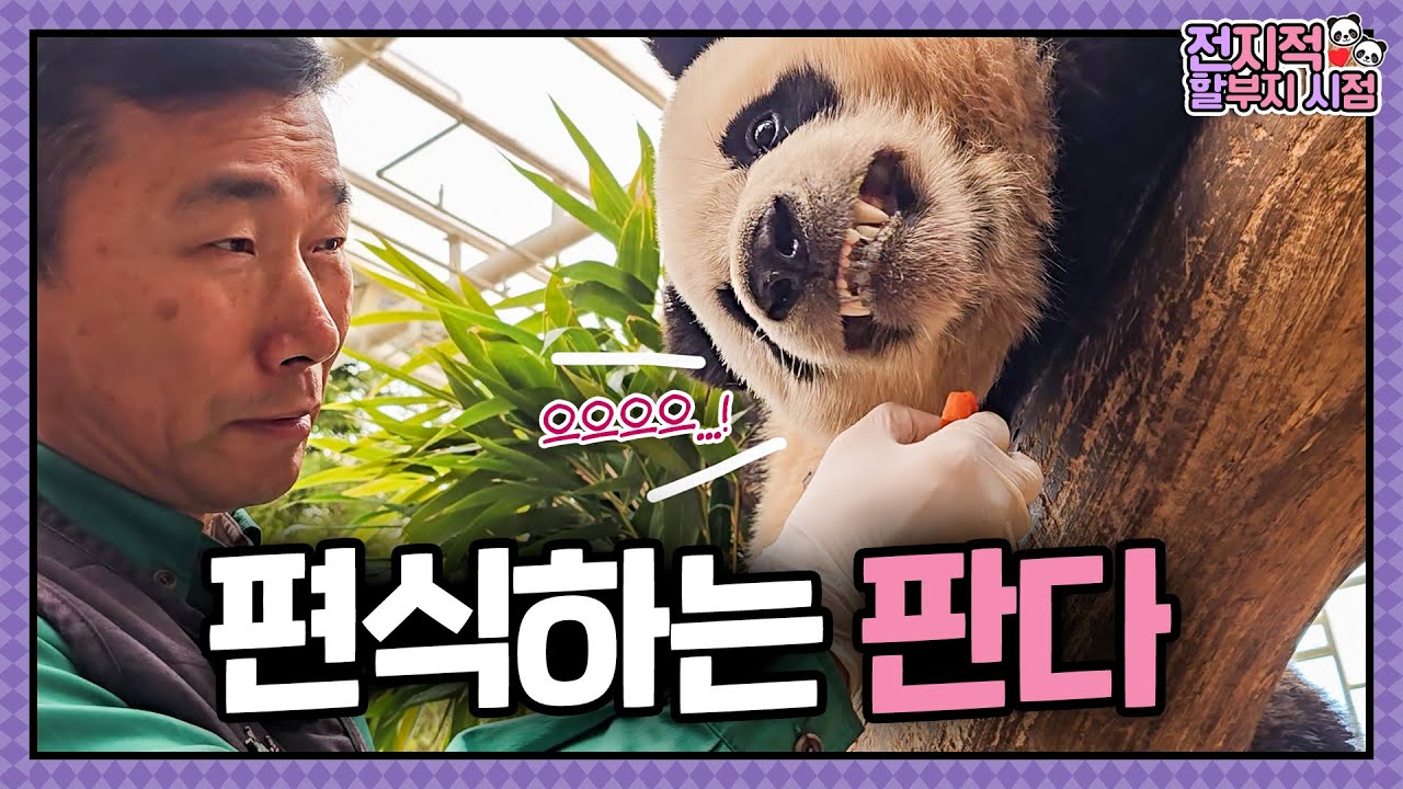 [Всевидящий взгляд дедушки] эп.206: 'Я не хочу это есть!' Хуэй отказывается от вотоу