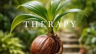 Download lagu TERAPI SETRES - 40 Menit Saja Bisa Memulihkan Kerusakan Pada Syaraf