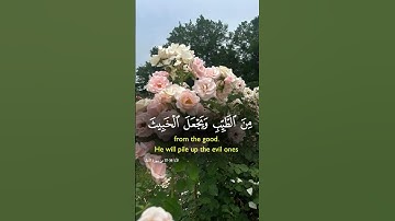 سورة الكهف #الشيخ حجاج الهنداوي #قرآن