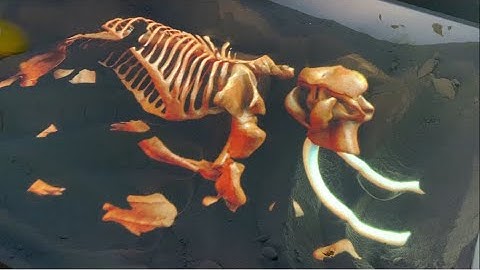 Mammoth Excavation Mode - Magicdynamics Interactive AR Sandbox