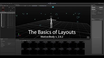 Motion Capture Tutorial: Layouts