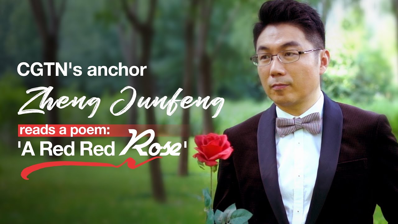 CGTN anchor Zheng Junfeng reads a poem: A Red Red Rose