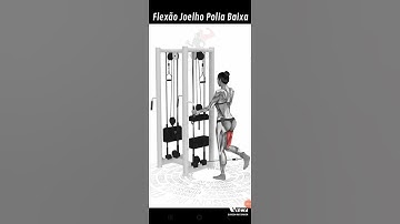 Flexão Joelho Polia