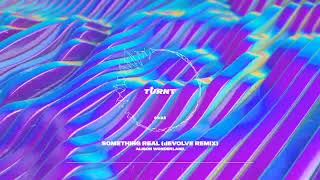 Alison Wonderland - Something Real (dEVOLVE Remix) Resimi